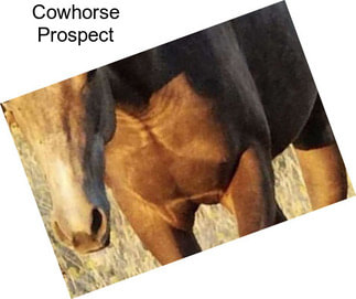 Cowhorse Prospect