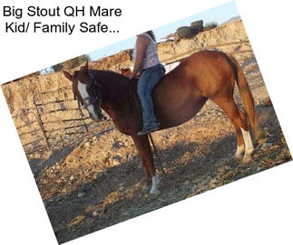 Big Stout QH Mare Kid/ Family Safe...