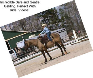 Incredible Safe and Gentle Gelding. Perfect With Kids. Videos!