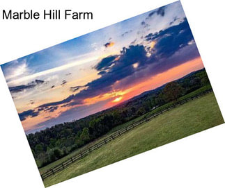 Marble Hill Farm