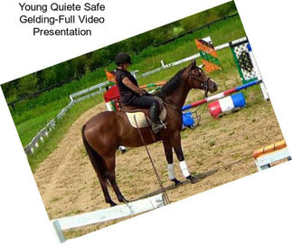 Young Quiete Safe Gelding-Full Video Presentation