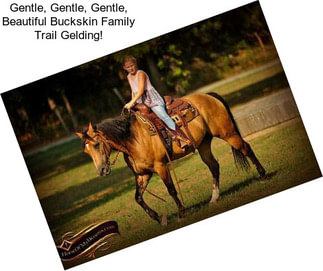 Gentle, Gentle, Gentle, Beautiful Buckskin Family Trail Gelding!