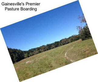 Gainesville\'s Premier Pasture Boarding
