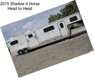 2015 Shadow 4 Horse Head to Head