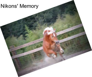 Nikons\' Memory