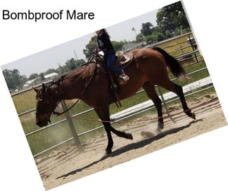 Bombproof Mare