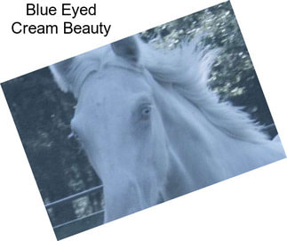 Blue Eyed Cream Beauty