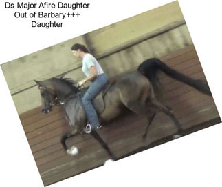 Ds Major Afire Daughter Out of Barbary+++ Daughter
