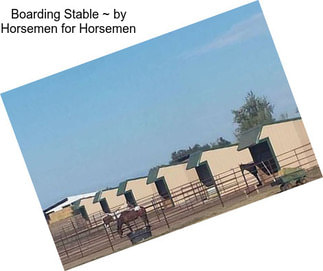 Boarding Stable ~ by Horsemen for Horsemen