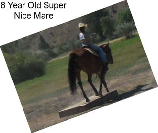 8 Year Old Super Nice Mare