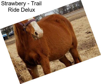 Strawbery - Trail Ride Delux