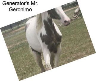 Generator\'s Mr. Geronimo