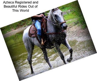 Azteca Registered and Beautiful Rides Out of This World