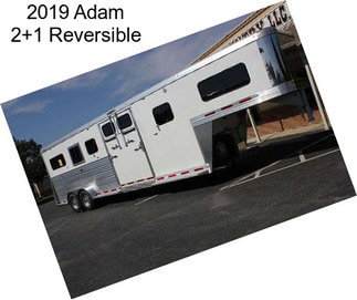 2019 Adam 2+1 Reversible