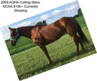 2009 AQHA Cutting Mare: NCHA $13k+ Currently Showing