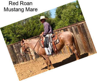 Red Roan Mustang Mare