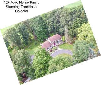 12+ Acre Horse Farm, Stunning Traditional Colonial