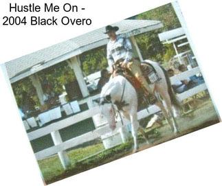 Hustle Me On - 2004 Black Overo