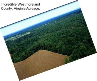 Incredible Westmoreland County, Virginia Acreage.