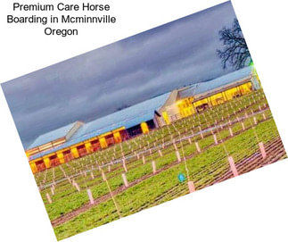 Premium Care Horse Boarding in Mcminnville Oregon