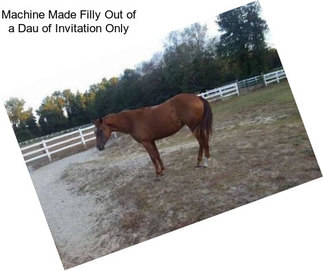 Machine Made Filly Out of a Dau of Invitation Only