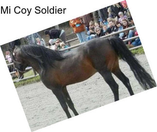 Mi Coy Soldier