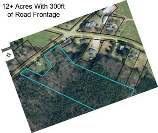 12+ Acres With 300ft of Road Frontage