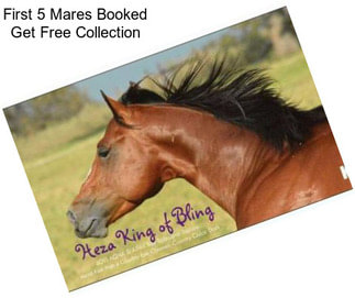 First 5 Mares Booked Get Free Collection