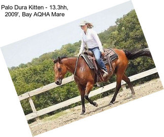 Palo Dura Kitten - 13.3hh, 2009\', Bay AQHA Mare