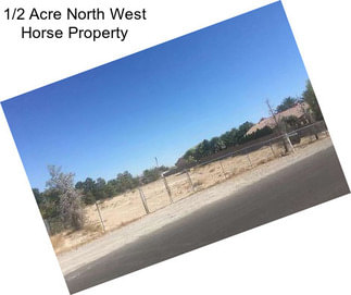 1/2 Acre North West Horse Property