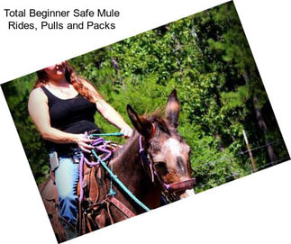 Total Beginner Safe Mule Rides, Pulls and Packs