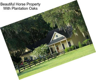 Beautiful Horse Property With Plantation Oaks