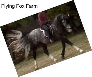 Flying Fox Farm