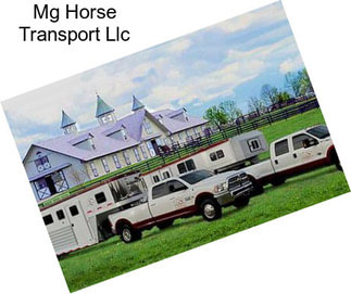 Mg Horse Transport Llc