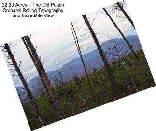 22.23 Acres – The Old Peach Orchard: Rolling Topography and Incredible View