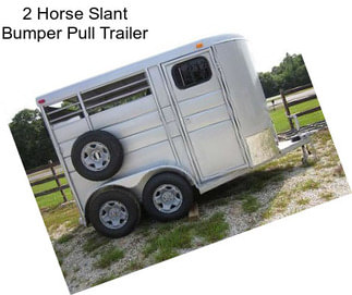 2 Horse Slant Bumper Pull Trailer
