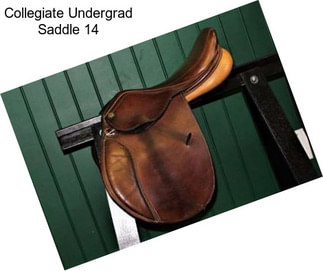 Collegiate Undergrad Saddle 14\