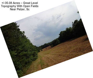 +/-35.08 Acres – Great Level Topography With Open Fields Near Pelzer, Sc