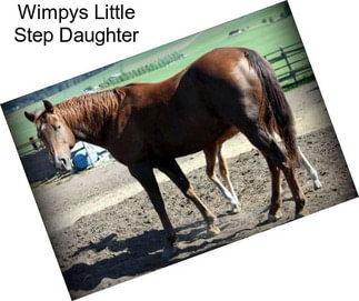 Wimpys Little Step Daughter