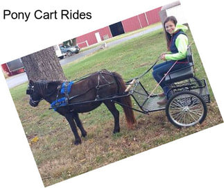 Pony Cart Rides