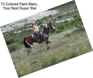 Tri Colored Paint Mare.. Your Next Super Star
