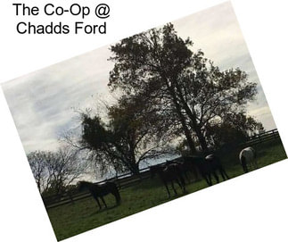 The Co-Op @ Chadds Ford