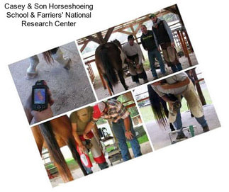 Casey & Son Horseshoeing School & Farriers\' National Research Center