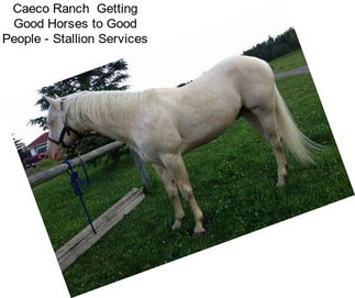 Caeco Ranch \