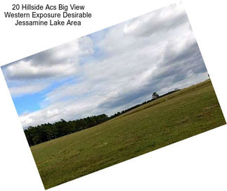 20 Hillside Acs Big View Western Exposure Desirable Jessamine Lake Area