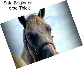 Safe Beginner Horse Thick