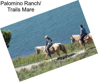 Palomino Ranch/ Trails Mare