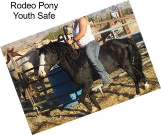 Rodeo Pony Youth Safe