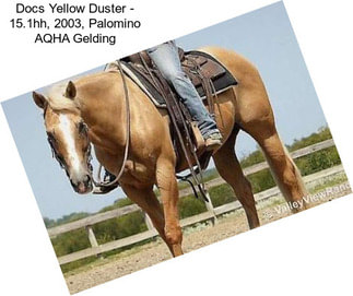 Docs Yellow Duster - 15.1hh, 2003, Palomino AQHA Gelding