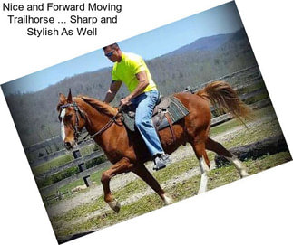 Nice and Forward Moving Trailhorse ... Sharp and Stylish As Well